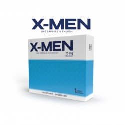        X-MEN, 1 